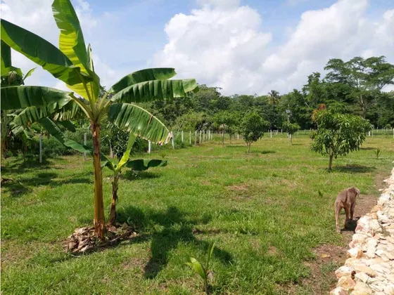 Finca En Venta En Chima