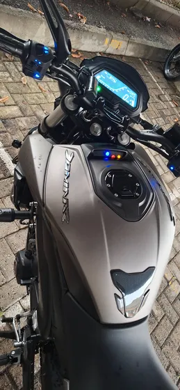 Dominar 250
