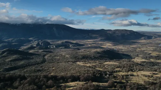 Media Hectárea En Patagonia/ Bosque De Ñire Y Lenga.