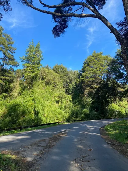 Hermosa Parcela En La Reserva Frutillar