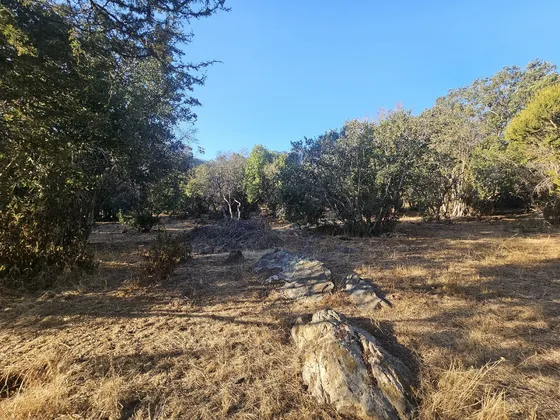 Vendo Hermosos Sitios Quebr. Alvarado Hacienda Ojos Buenos.