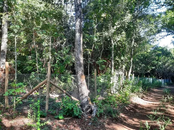 Parcela En Venta En Cobquecura