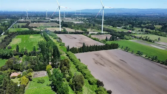 Agrícola En Venta En Los Angeles
