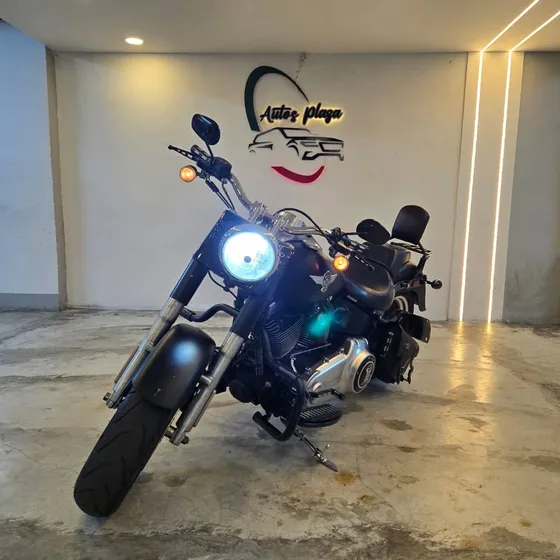 Harley Davidson Fat Boy 1584 Cc