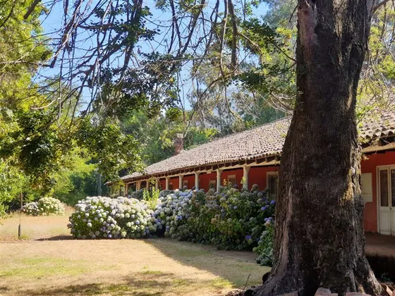 Oficina En Venta En San Clemente