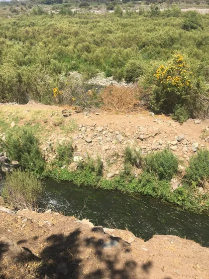 Terreno Catemu-romeral, Río