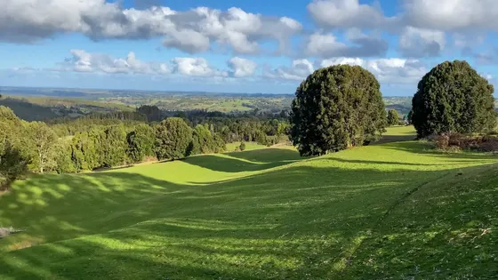 Campo De 7 Hectáreas En Fresia Con Hermosa Vista