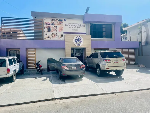 Nl/02 Casa Comercial En Alquiler, San José De Tarbes 