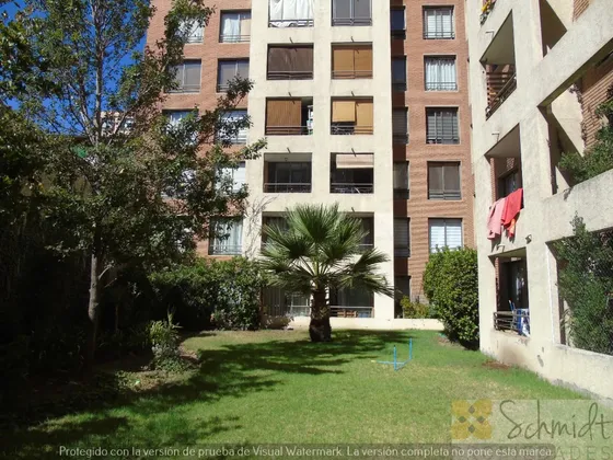 Departamento Ubicado En Barrio Universitario