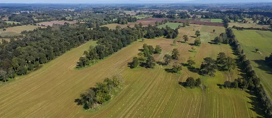 Venta De Campo Agrícola En Puerto Octay Id 88.667-cam