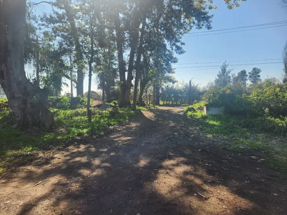 Terreno 30.000 M2 Camino Los Perros, Talagante/ 6 Parcelas