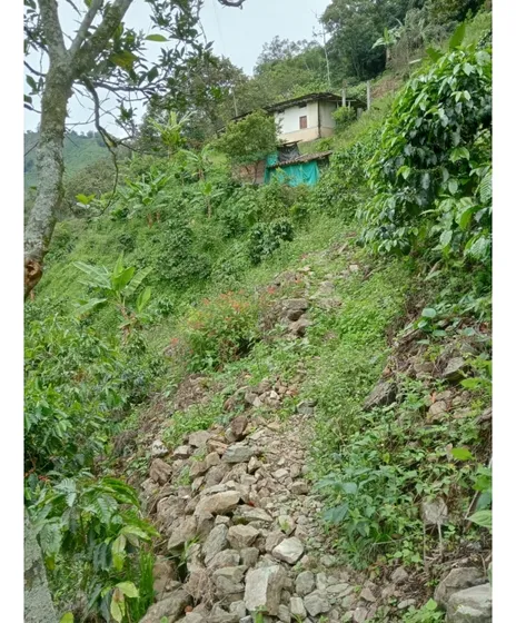 Se Vende Finca En Pijao Quindío