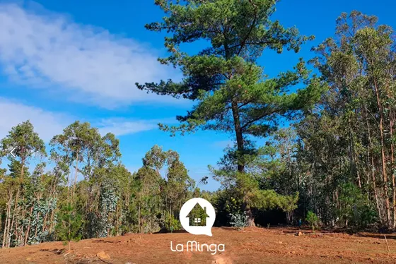Bella Parcela 5000m2 En Condominio Loma Larga En Tunquén