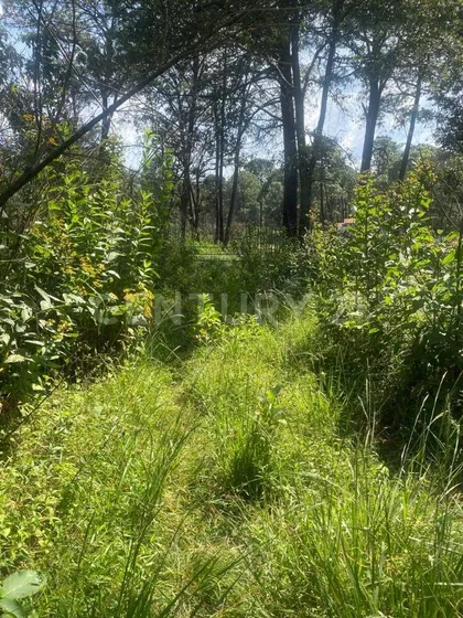 Venta De Terreno Turistico En Mazamitla