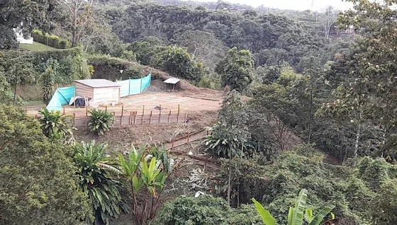Lote En Venta En Via Morelia /pereira (279057944).