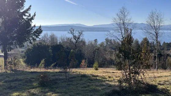 Parcela Con Panoramica Vista Al Lago Sector Puntilla