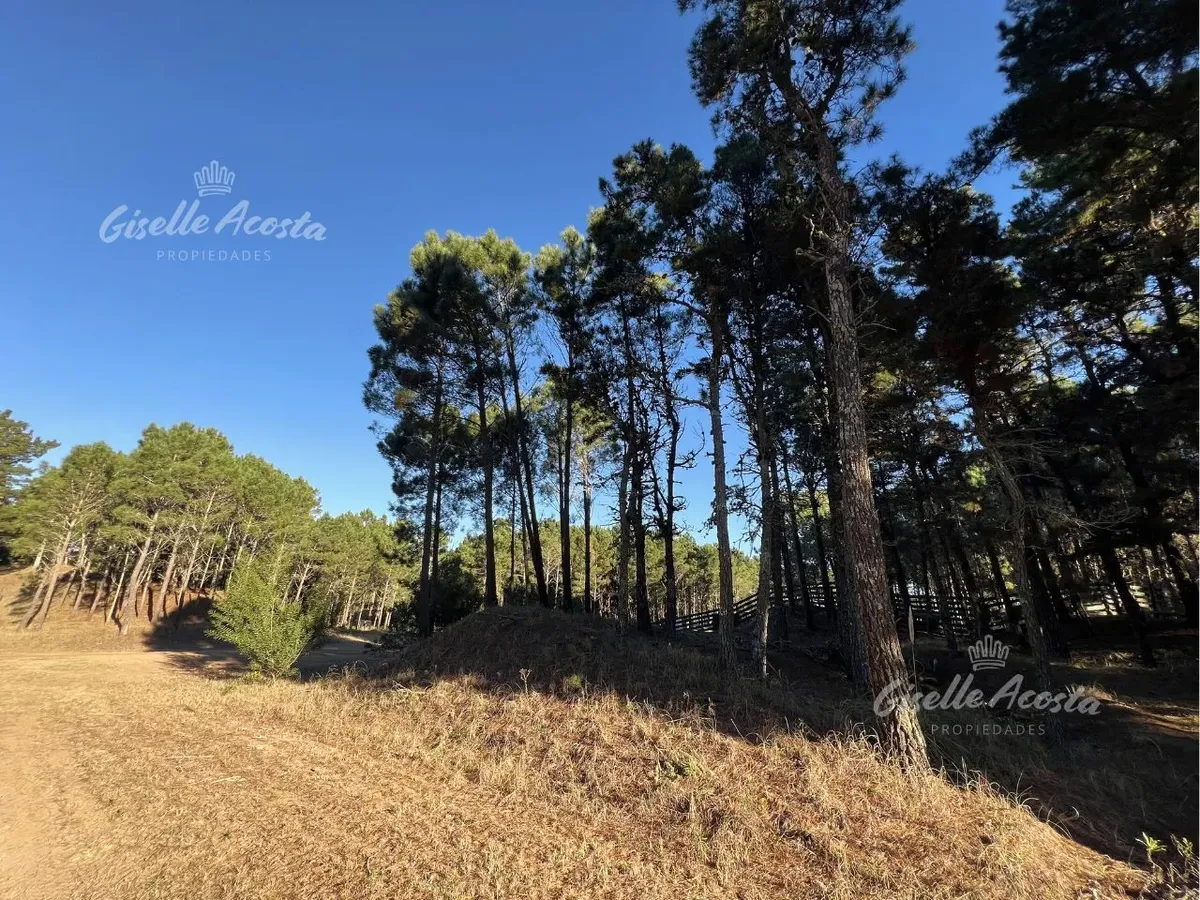 Venta Lote Barrio Pioneros Pinamar - Esquina - Arbolado - Seguridad Privada
