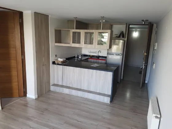Depto Arriendo 1 Hab Con Estacionamiento Y Bodega Campus Uc