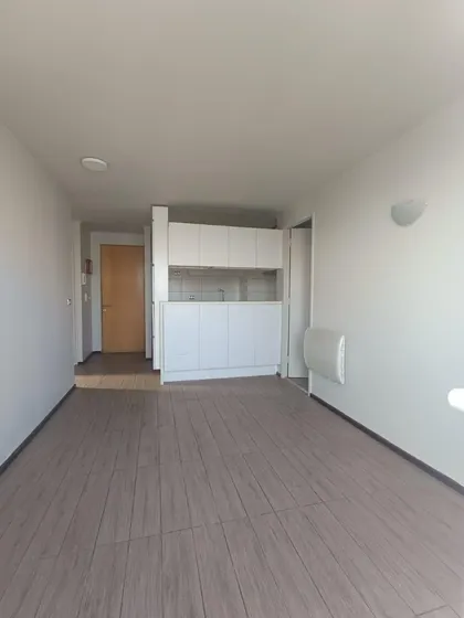 Arriendo Depto 2d2b Mariposa En Santiago Centro