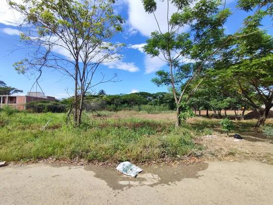 Lote En Venta En Bocono. Cod V28364