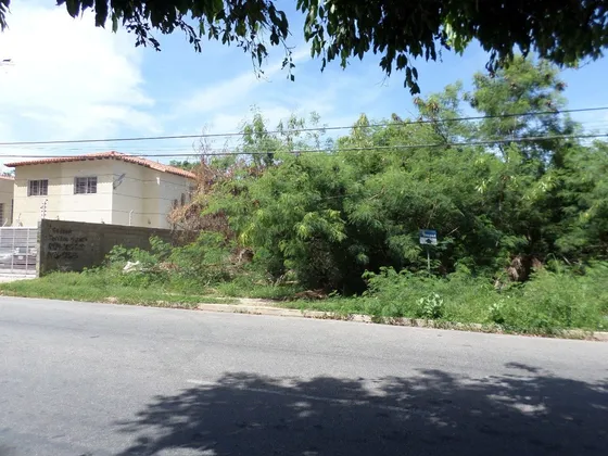 Terreno En Jorge Coll, Municipio Maneiro