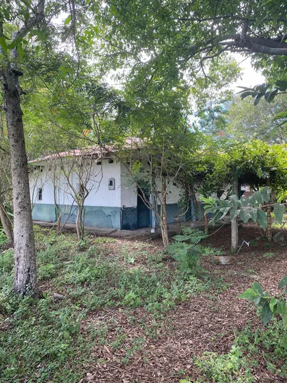 Vendo Finca 22 Ha Castilla Tolima