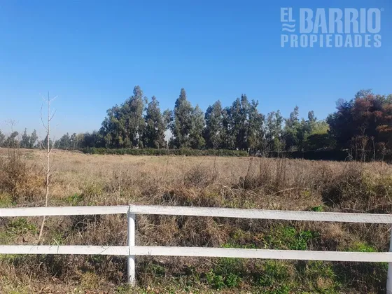 Sitio En Arriendo Chicureo Central