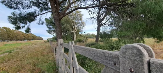 Venta Hectares  Medanos Sobre  La Ruta 22 