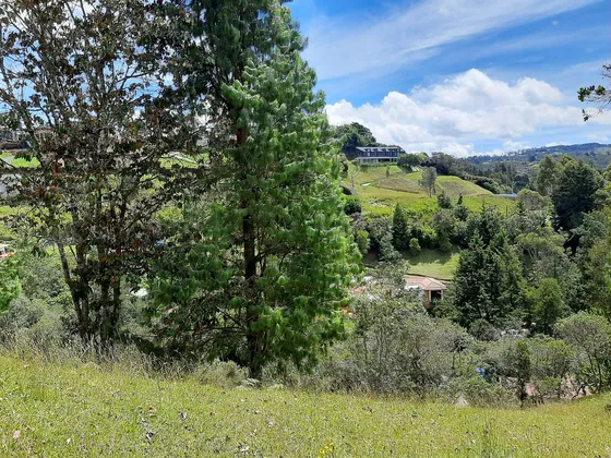 Venta Lote En El Alto De Las Palmas