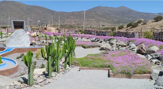 Parcela Camin Del Elqui 20 Min Aeropuerto