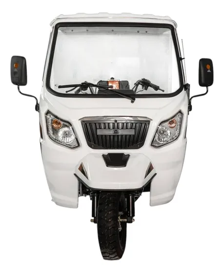 Motocarro 300cc Doble Rodado Con Caja Seca 2 Ptas