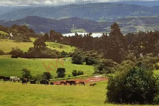 Venta Finca En La Vereda Tierra Negra Sesquilé Cundinamarca-6234 (6234).