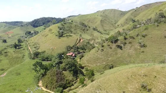 Se Vende Finca Ganadera En Maceo A 2 Kilometros De La Via Principal