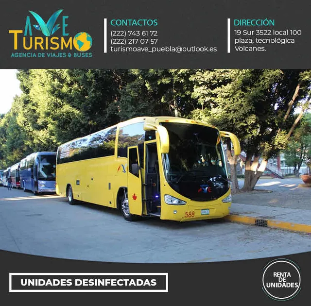 Renta De Autobuses Y Camionetas