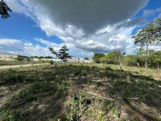 Milagros Inmuebles Terreno Venta Cabudare Lara El Mayal Economica Residencial Economico Comercial Código Inmobiliaria Rent-a-house  24-29208