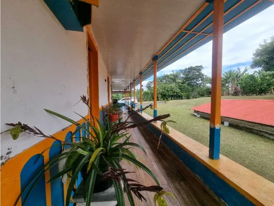Venta De Finca En Zona Estrategica Entre Quimbaya Filandia Y Quimbaya