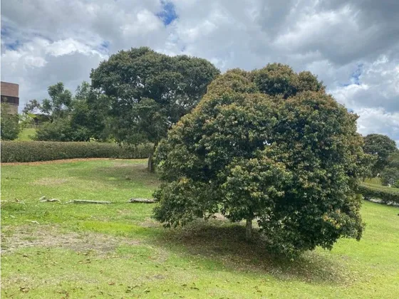 Lote Llanogrande (rionegro)