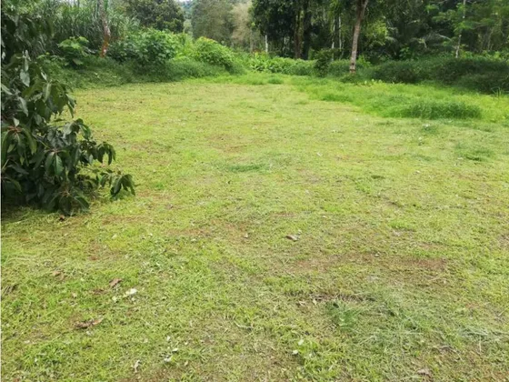 Lotes En Venta Palestina