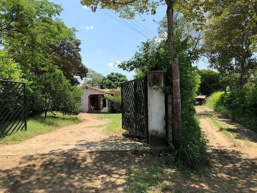 Fincas En Venta Carmen De Apicala 820-574