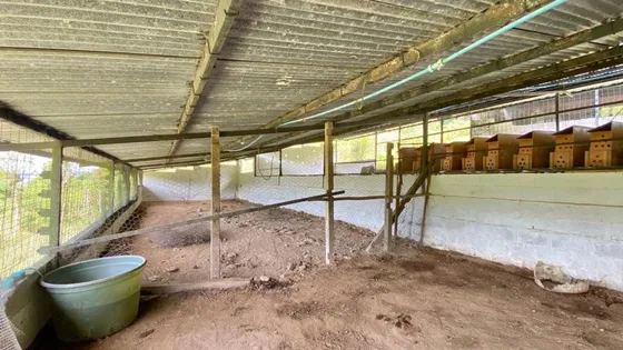 Ninoska Bautista Vende Granja Los Compadres