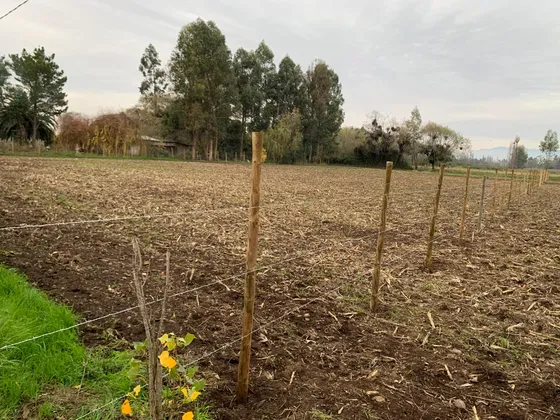 Terreno 5.000 M2 Yervas Buenas