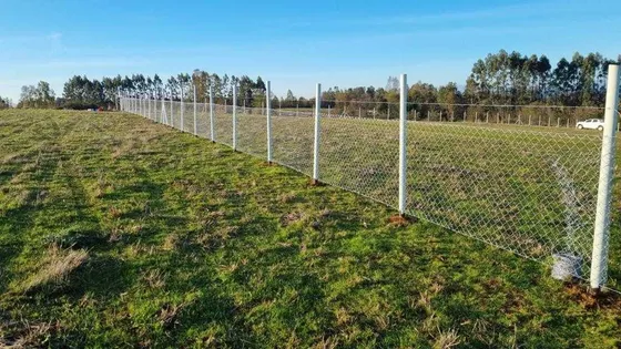 Parcela 1 Hectárea Camino Mafil  (74912)