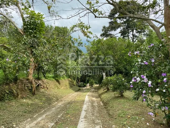 Excelente Oportunidad De Inversión: Finca / Lote En La Vereda Santa Teresa, Ibagué