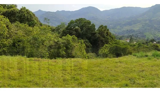 Lote En Parcelacion De Barbosa, Con Excelente Vista