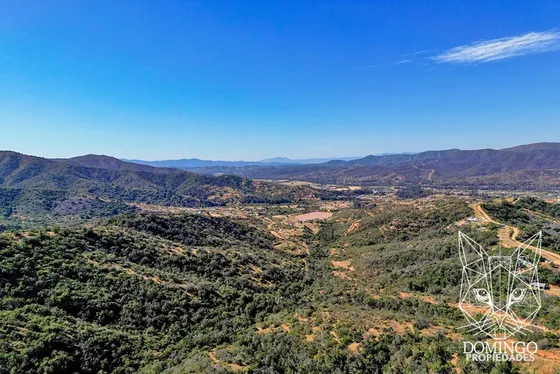 Parcela Nativa De 2 Hectáreas En Quilpué
