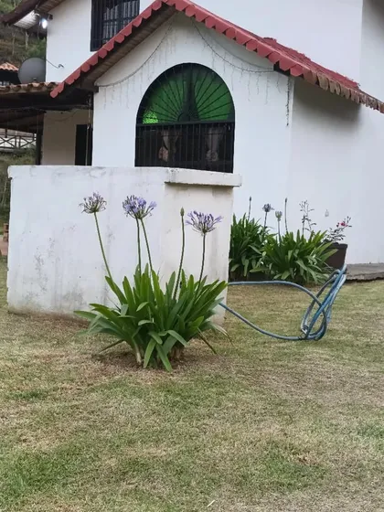 Venta De Terreno Con Acogedor Chalet Tipo Cabaña En La Colonia Tovar