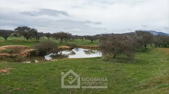 Agrícola En Venta En Retiro