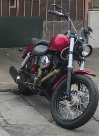 2007 Harley-davidson Dyna
