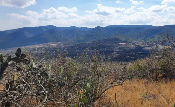 Terreno Venta Pedro Escobedo Escolasticas