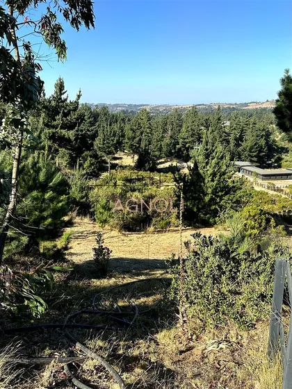 Terreno En Venta, El Chorrillo, Pupuya, Matanzas.